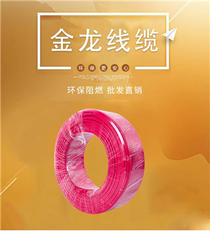 全項國標(biāo)電線電纜